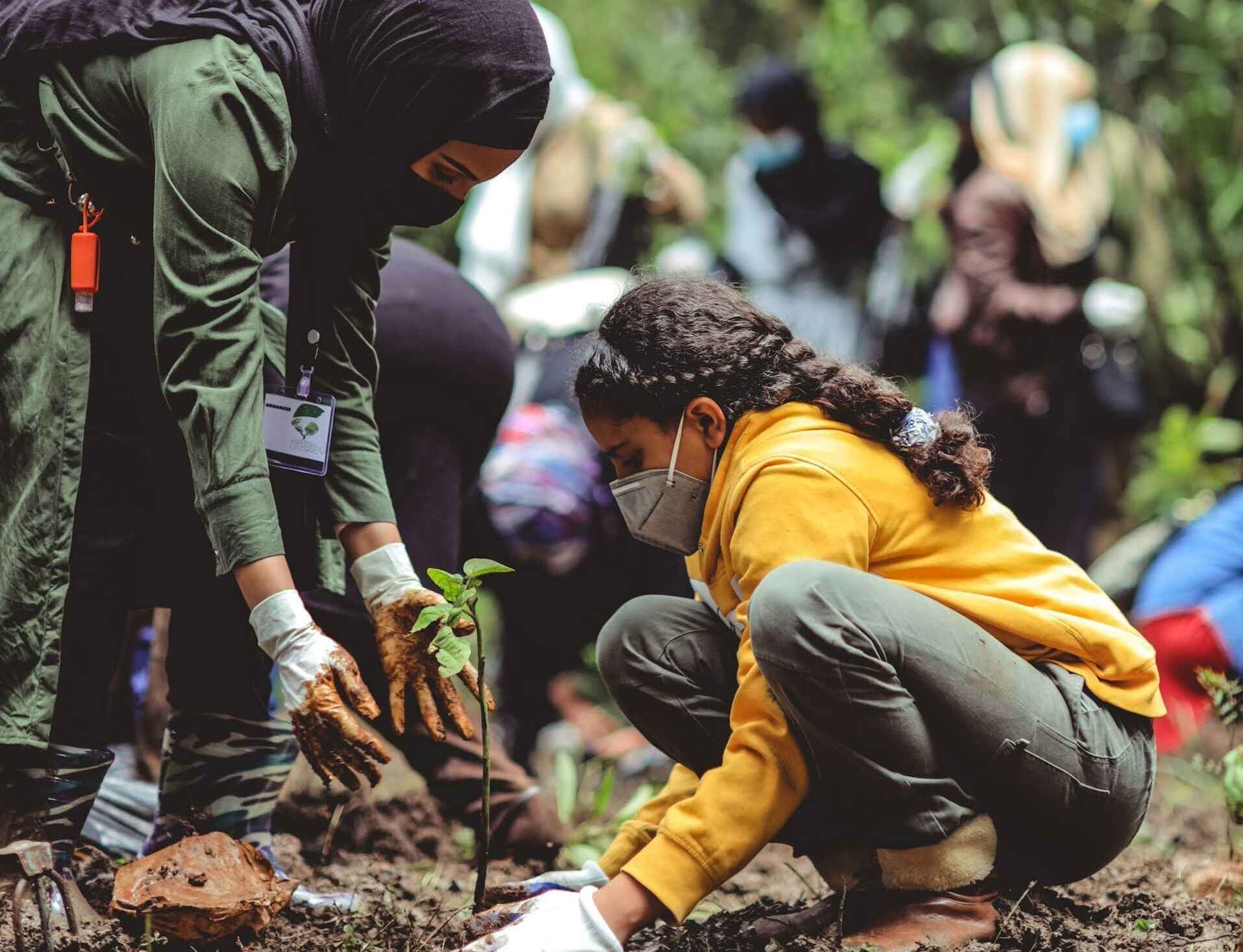 People planting trees in Amazon forest
