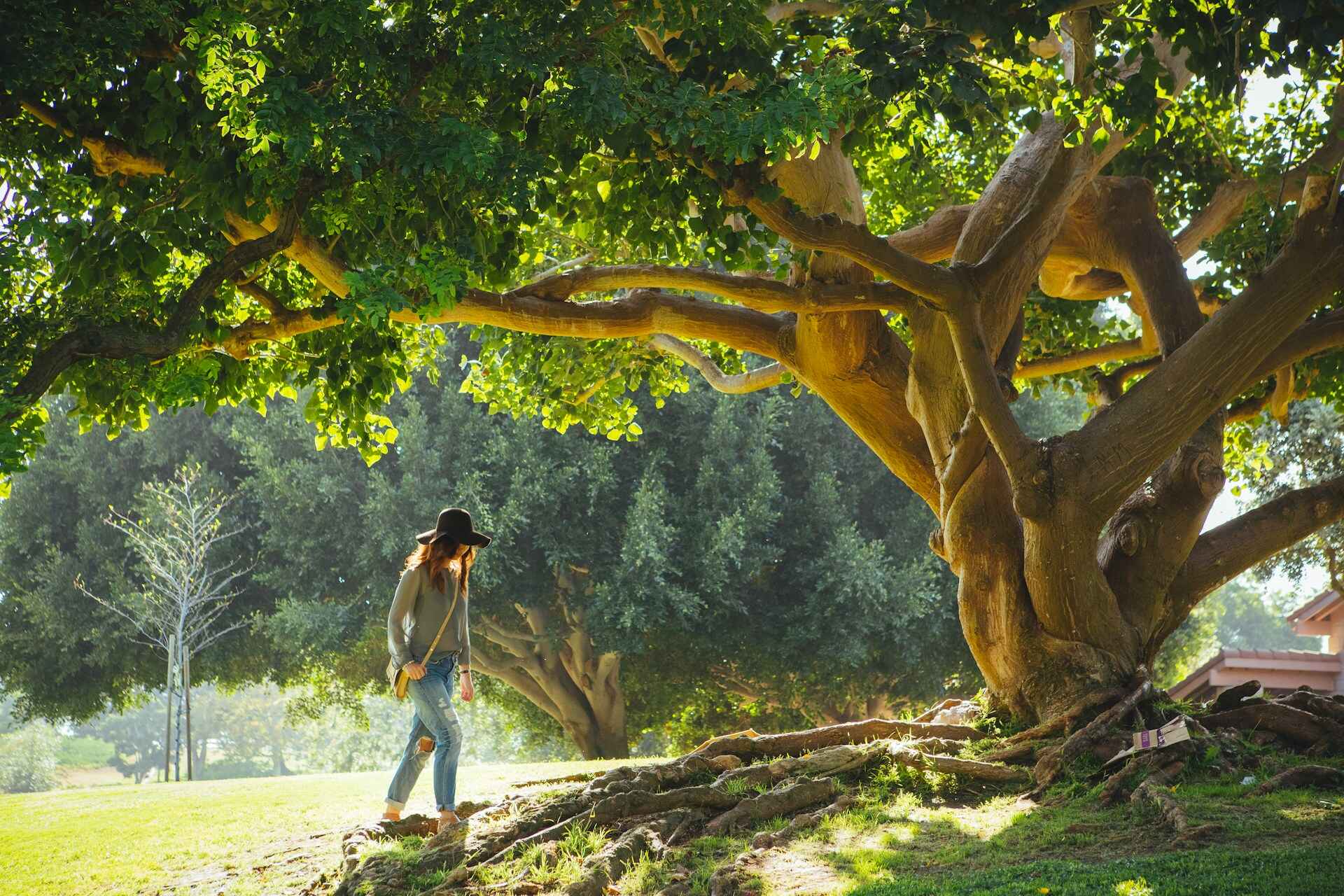 Woman walking under tree